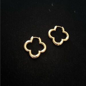 Gold Plated Earrings